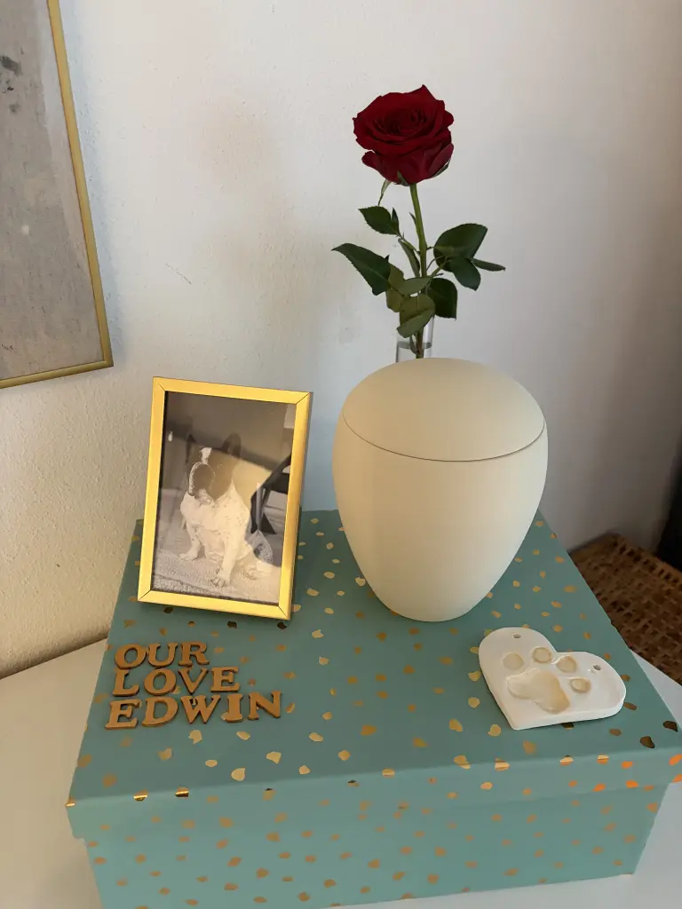 Image from Edwin