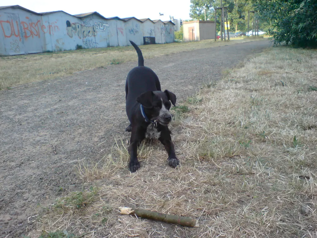 Image from Ronja
