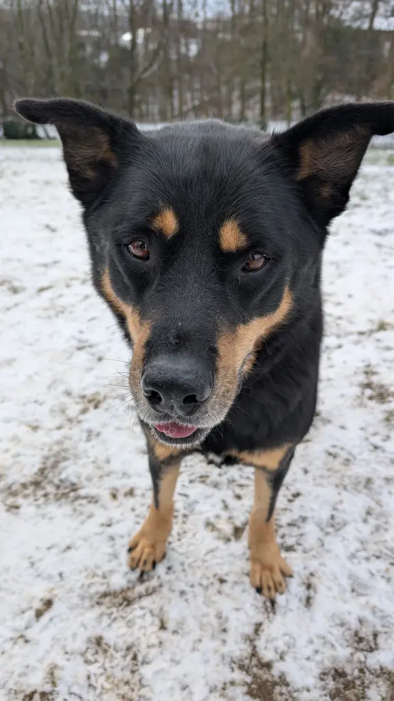 Bild von Milo