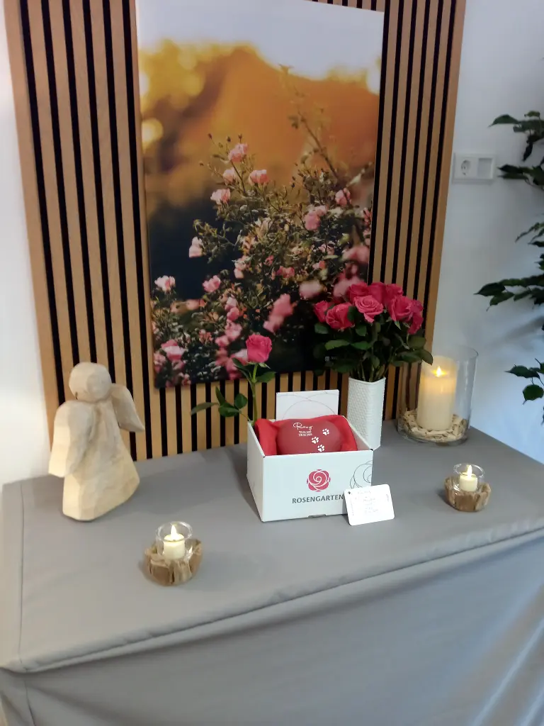 Image from Roxy
