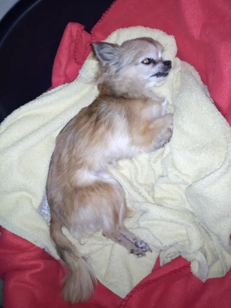 Image from Roxy