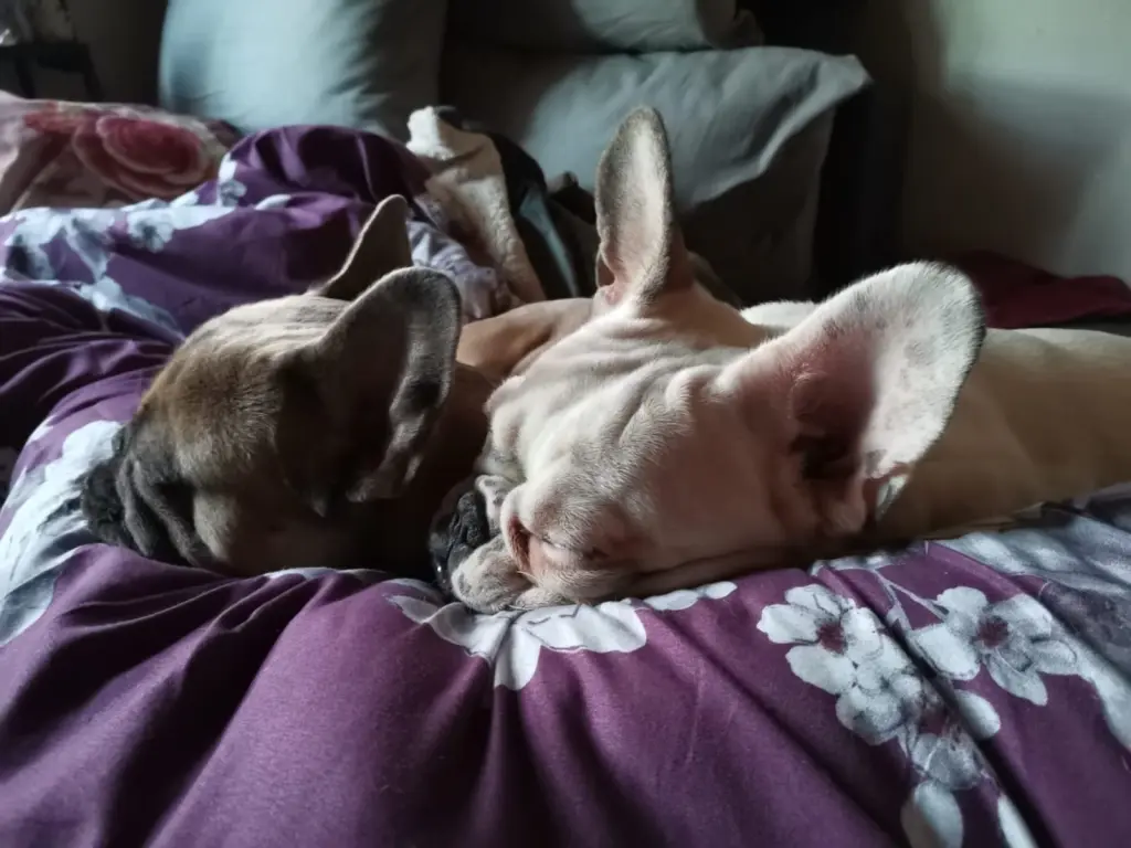 Lenny und  Lilly