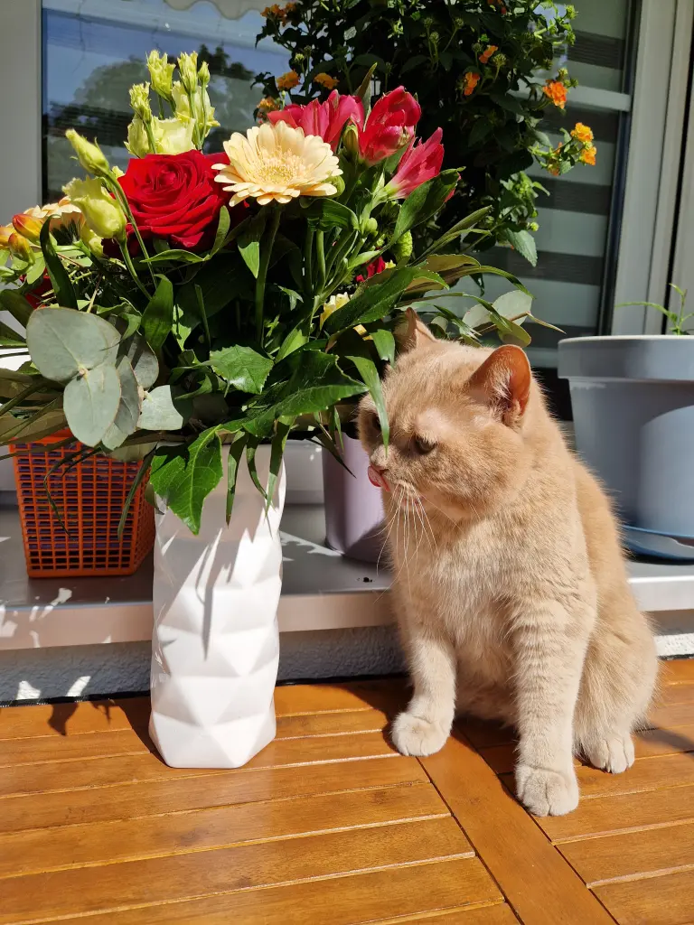 Condolence image of Lara-Sophie Fiebig