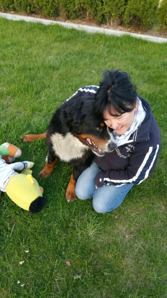 Condolence image of Dorin mit Mephisto tief im Herzen 