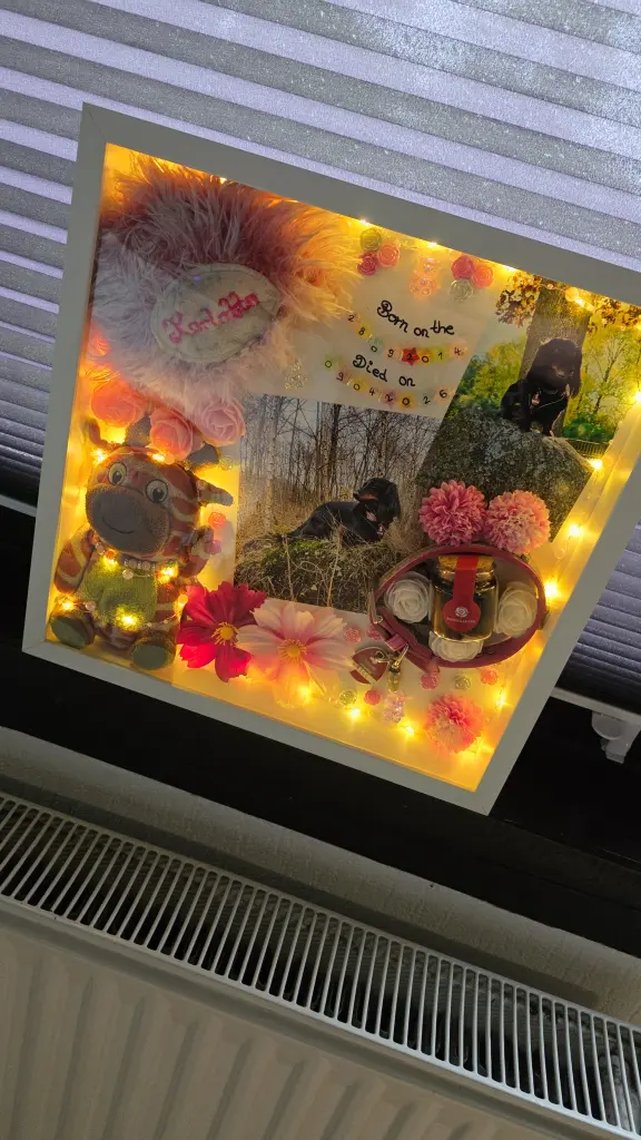 Image from Karlotta