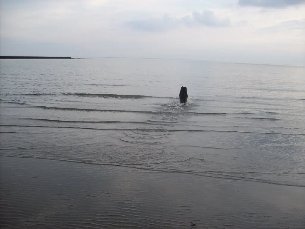 Condolence image of Wolfgang
