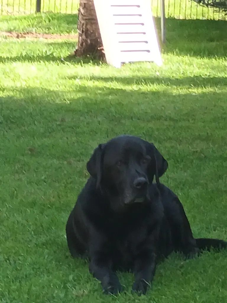 Bild von Fynn