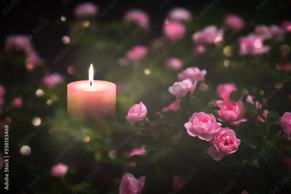 Condolence image of Konny mit Piccolino-Fly tief im ❤️