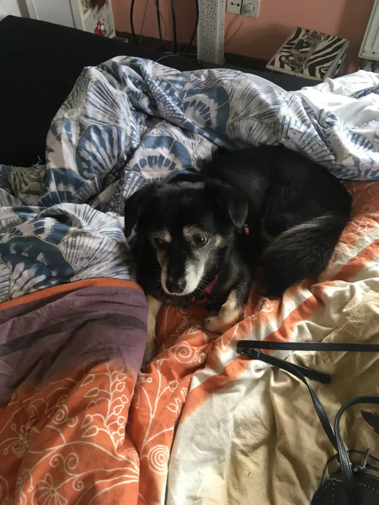 Image from Catalina