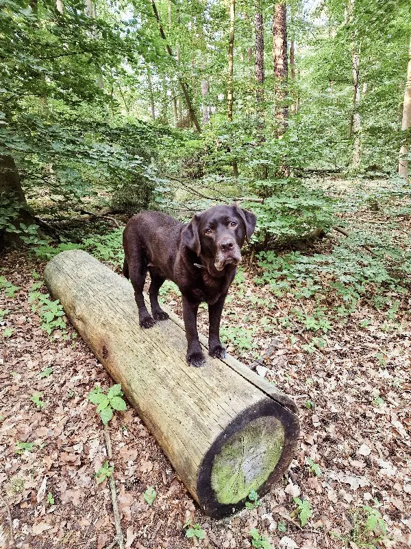 Bild von Deyla