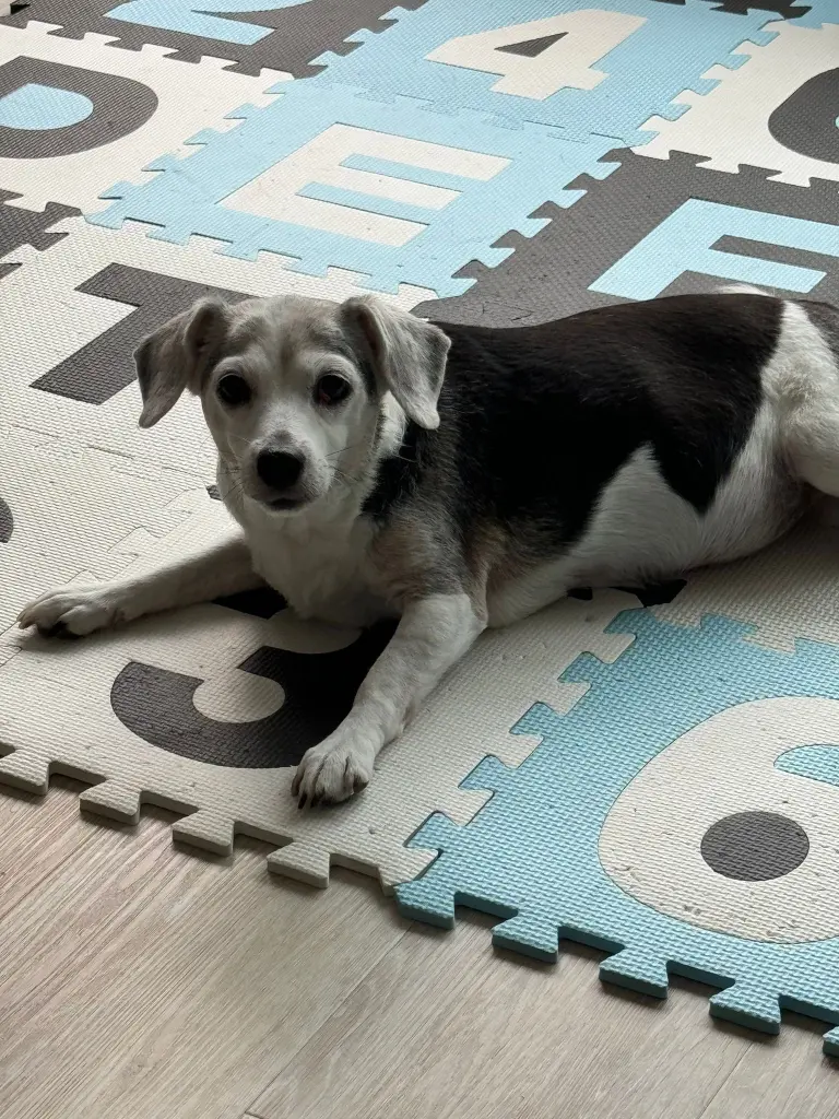 Wie gerne hätte ich dich jetzt im Arm😭