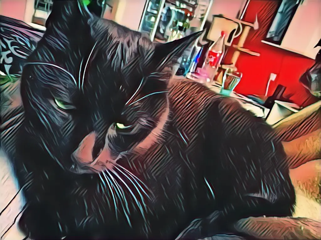 Condolence image of Jenny-Kristin