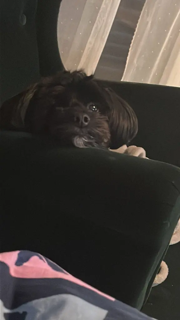 Bild von Milow