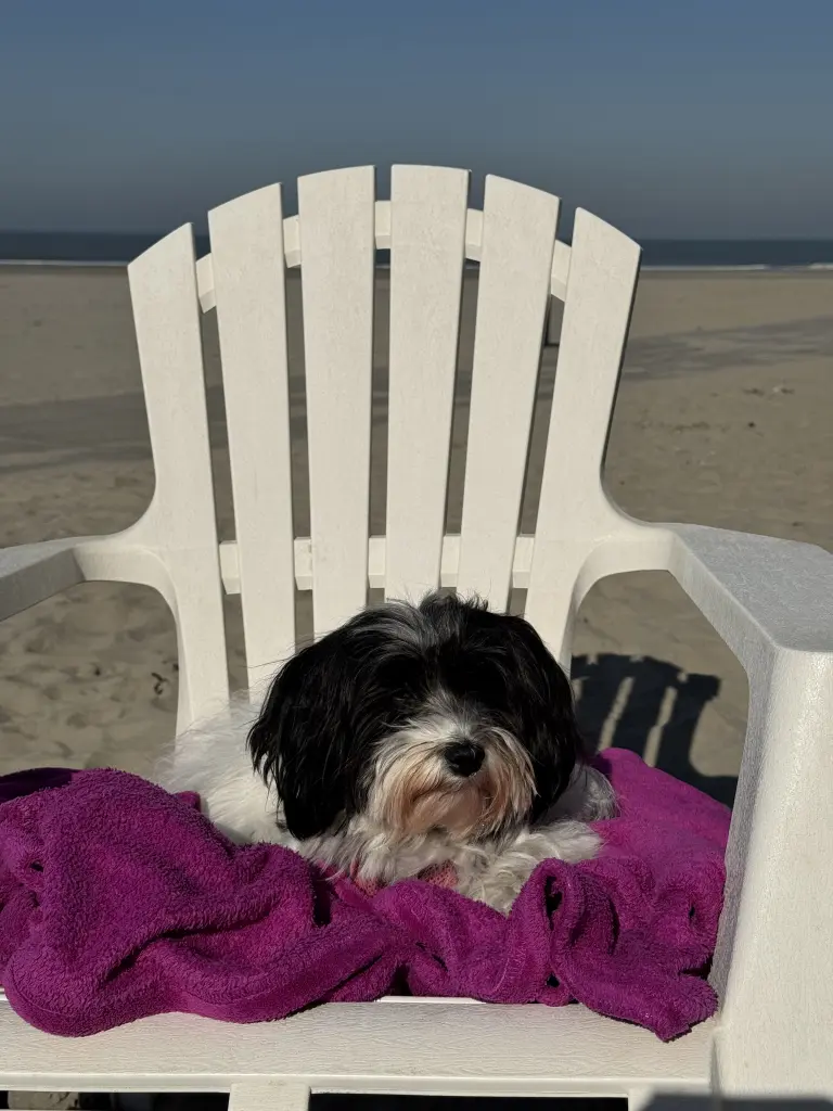 Buffy‘s Lieblingsort in Holland