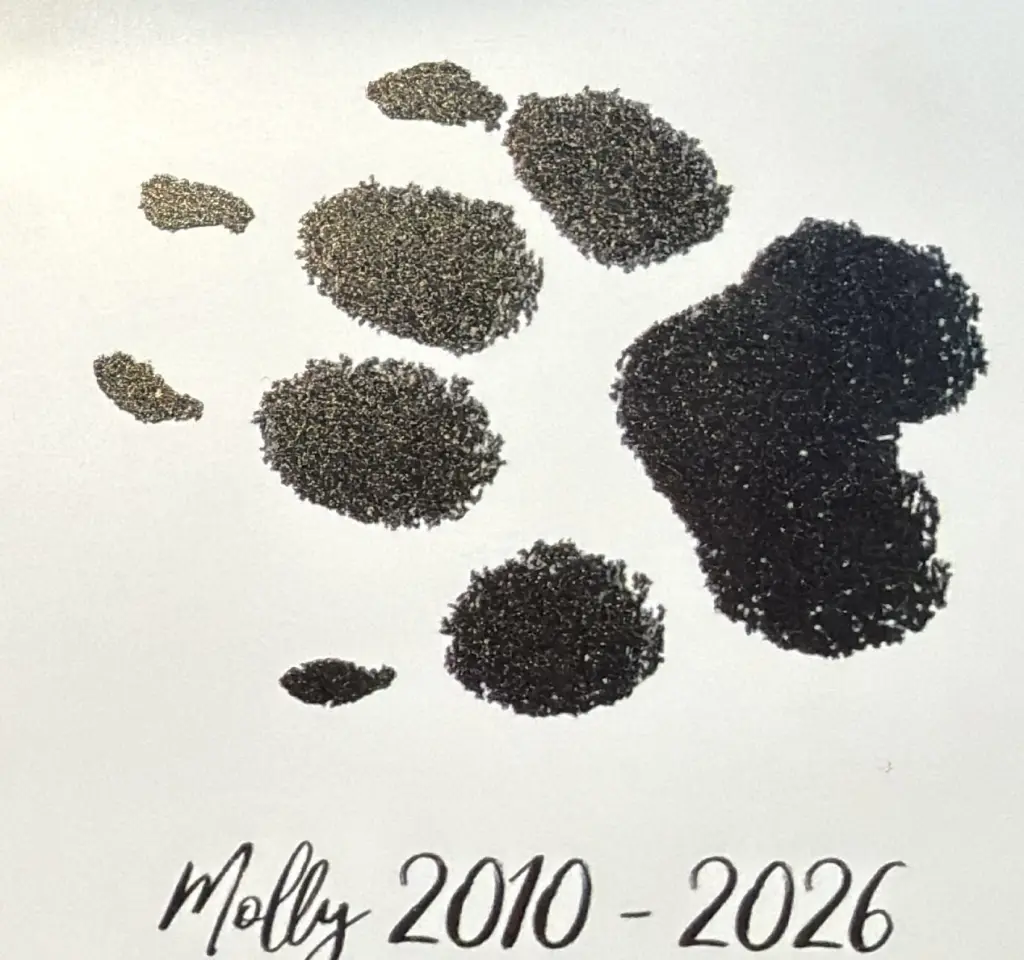 Condolence image of Mario Knorz