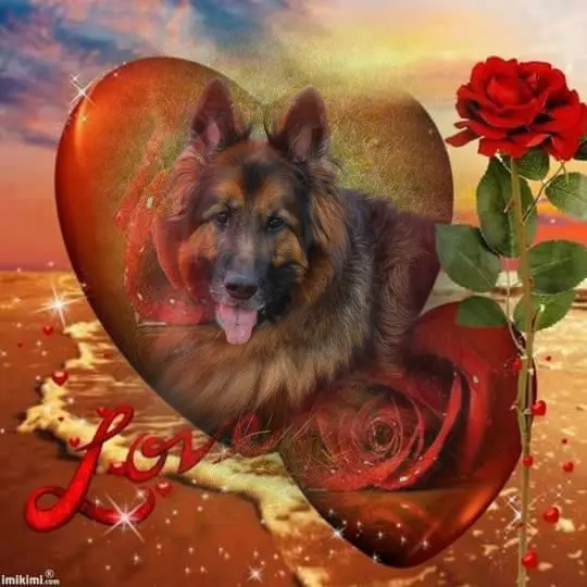 Condolence image of Kocham Cię❤❤❤