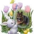Condolence image of Dla Misiulka❤❤❤