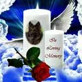 Condolence image of Kocham Cię❤❤❤