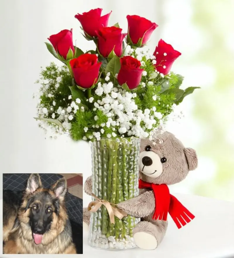 Condolence image of Mój Misiulek❤❤❤