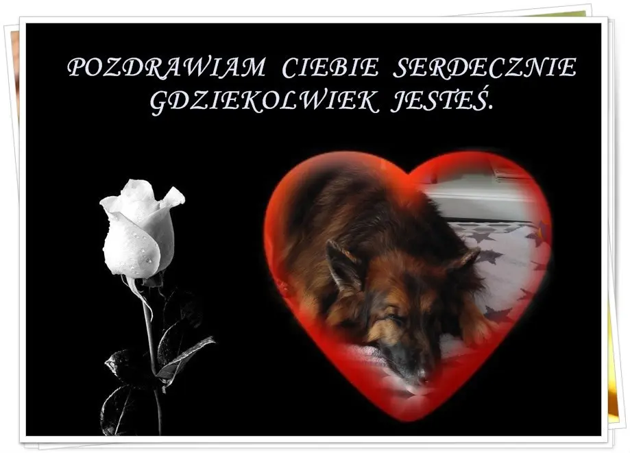 Condolence image of Dobrej Nocki❤️❤️❤️❤️❤️❤️mój Ukochany❤️❤️❤️❤️❤️❤️Misieńku❤️❤️❤️