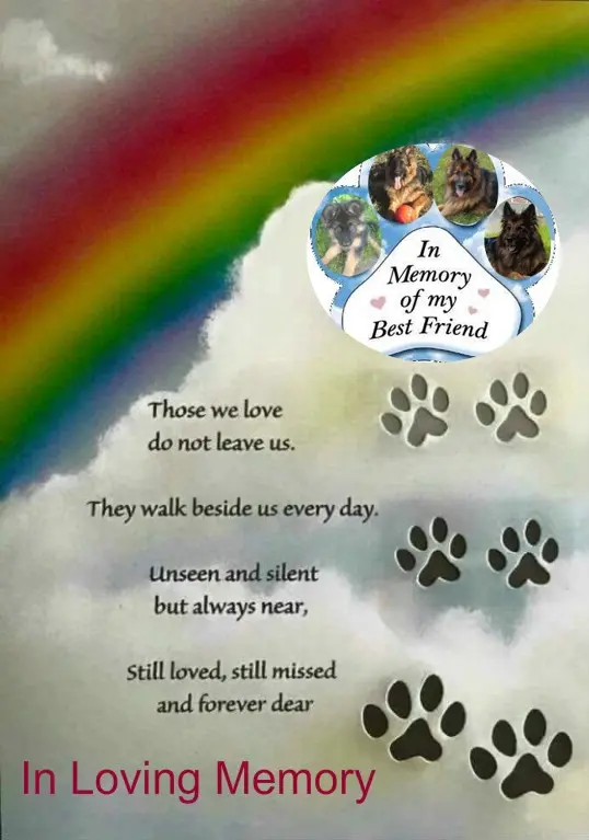 Condolence image of 4 Lata....BEZ CIEBIE❤️❤️❤️MISIEŃKU❤️❤️❤️