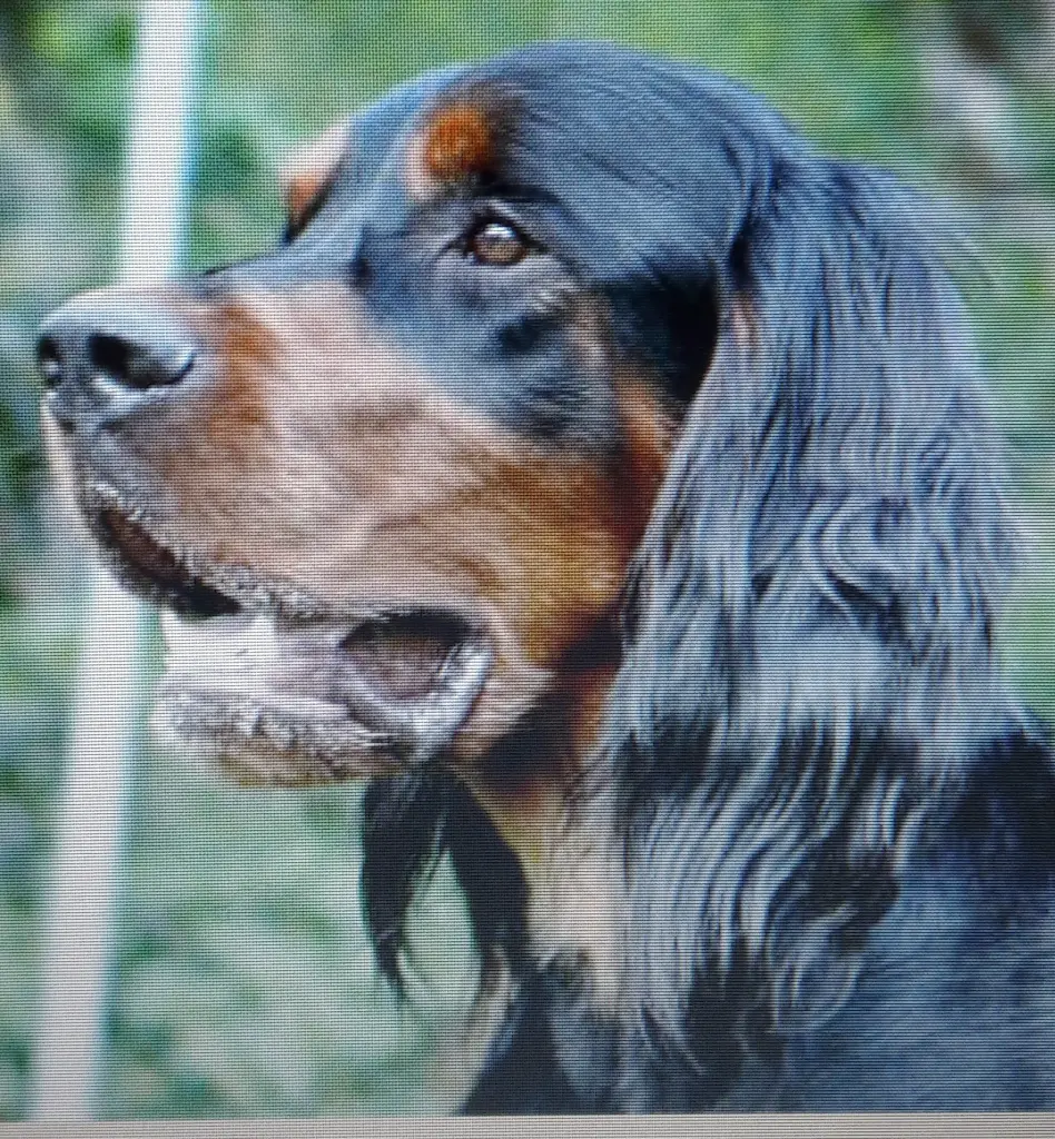 Condolence image of edgar