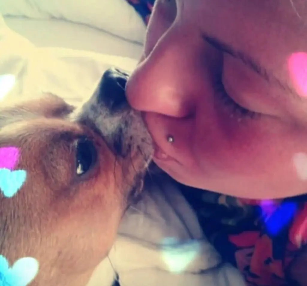 Liebe.