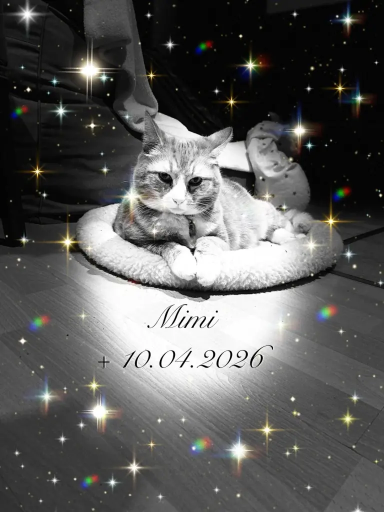 Image from Mimi