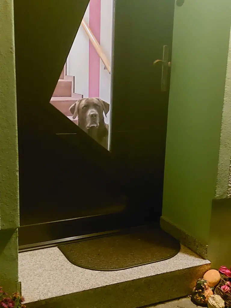 Condolence image of Birgit Günther