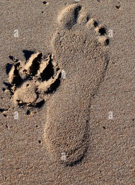 Condolence image of Birgit Günther