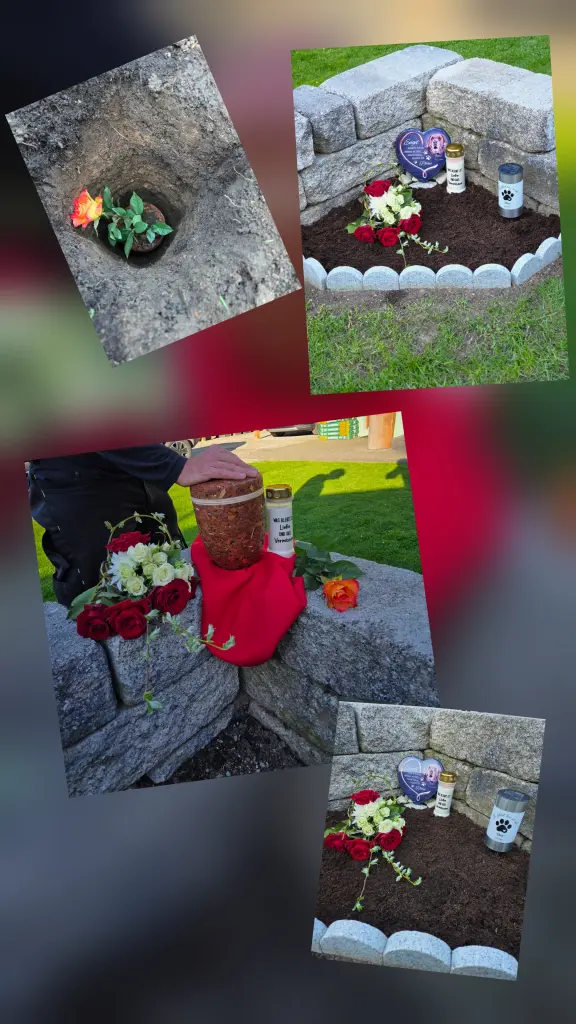 Endlich bist du wieder zuhause