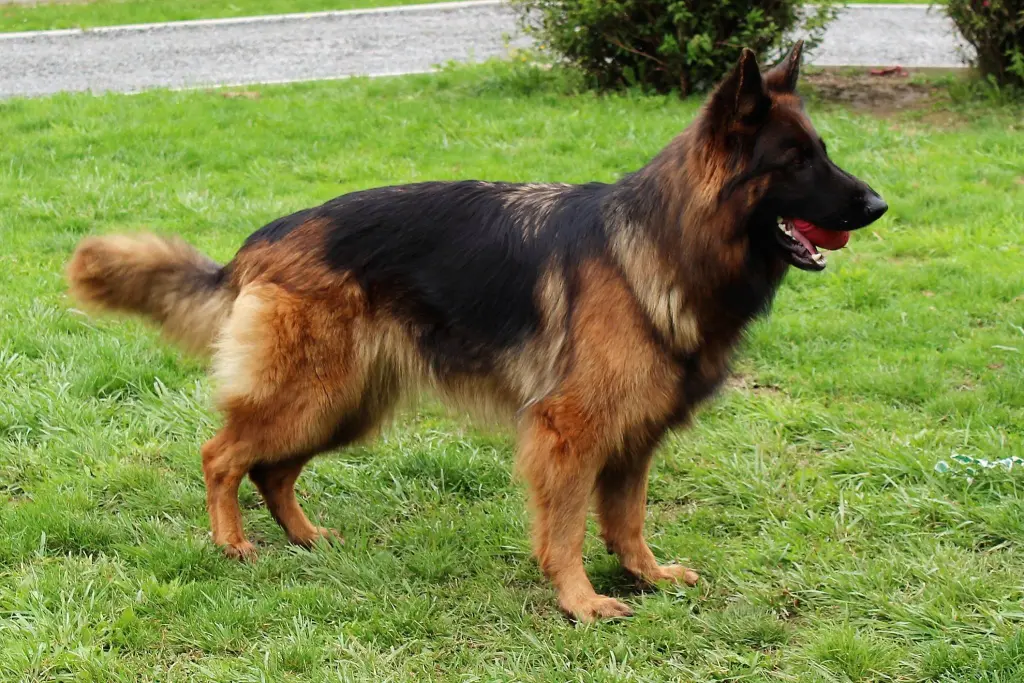 Condolence image of Jutta