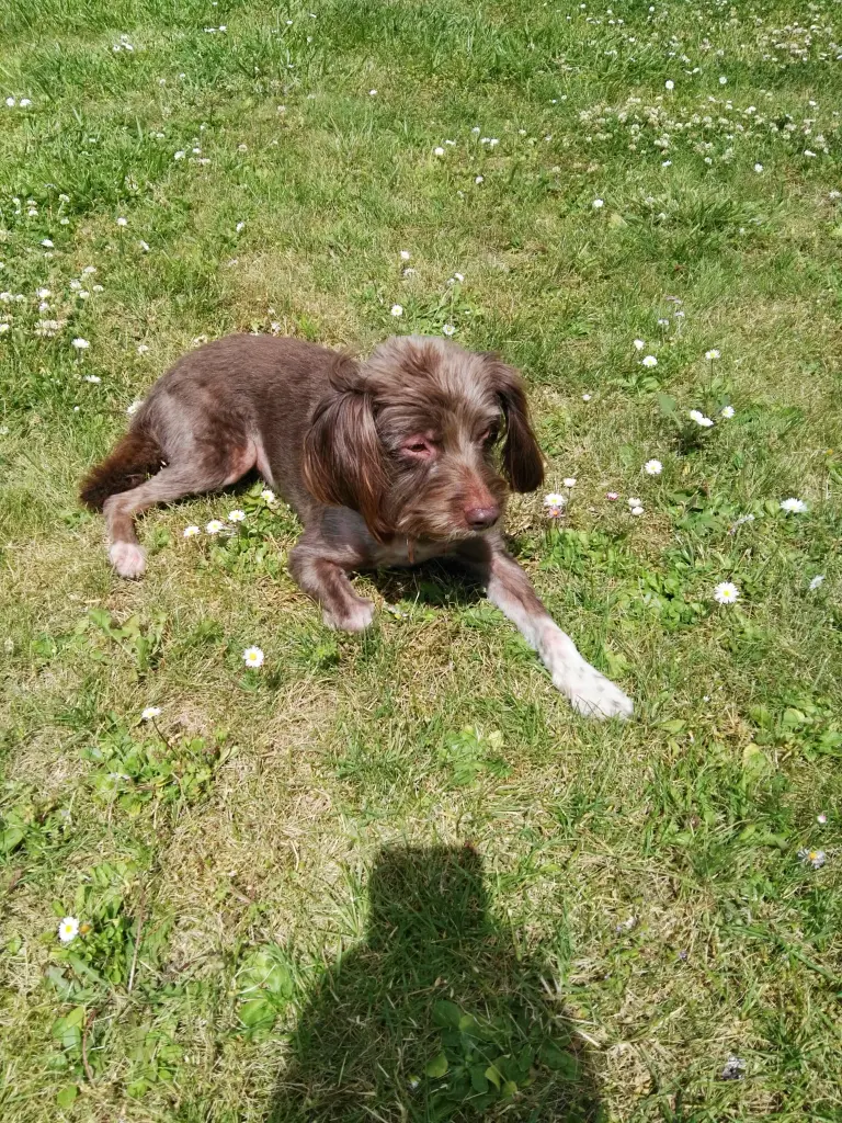 Andachtsbild von Francesca und Uwe