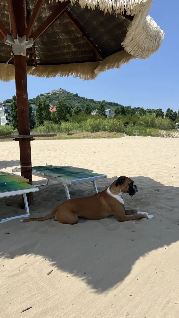 Lieblingsstrand 🤍