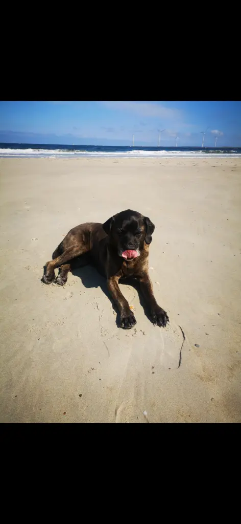 Bild von Bella