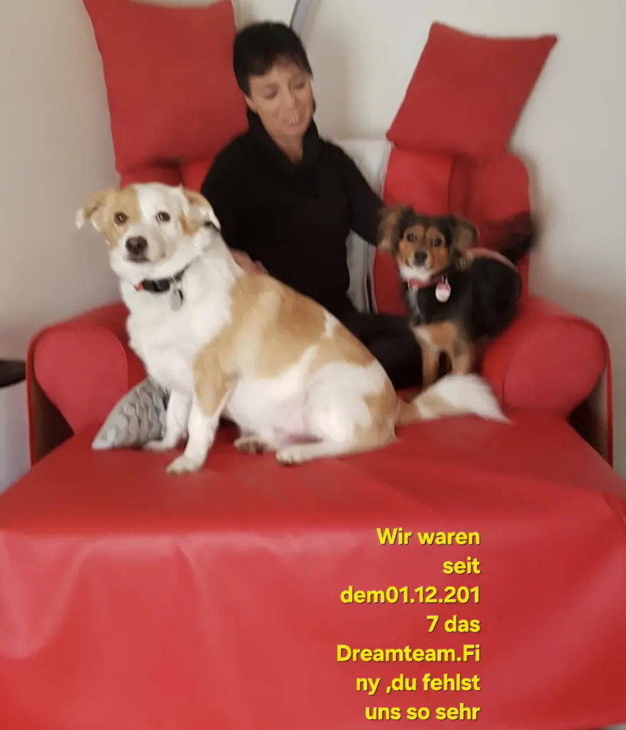 Die schönsten 10 Jahre, einfach Liebe pur