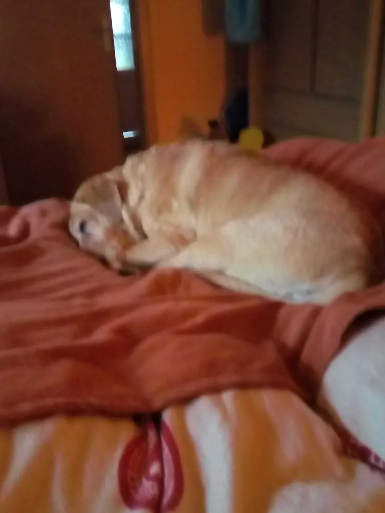 Condolence image of Doris