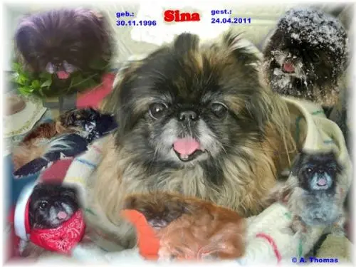 Image from mein allerliebstes Sina - Engelchen