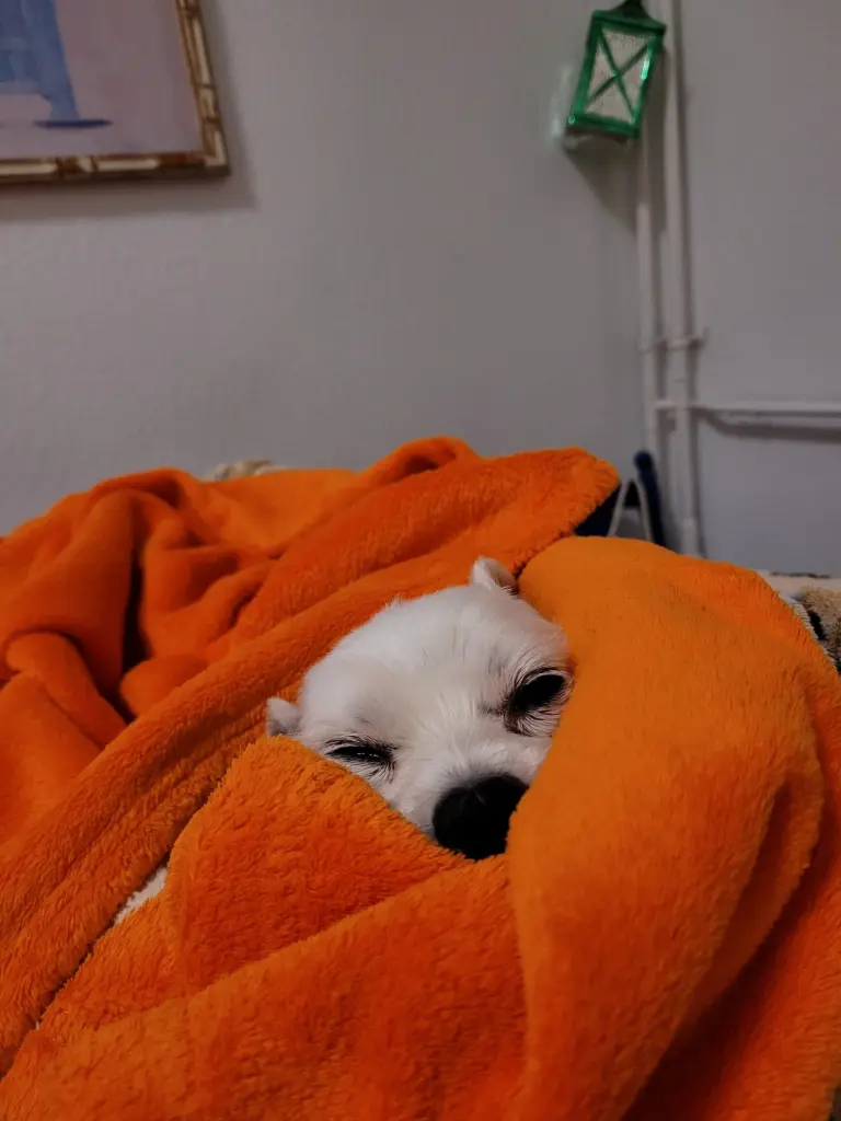 Ich bin so müde...zzzz...