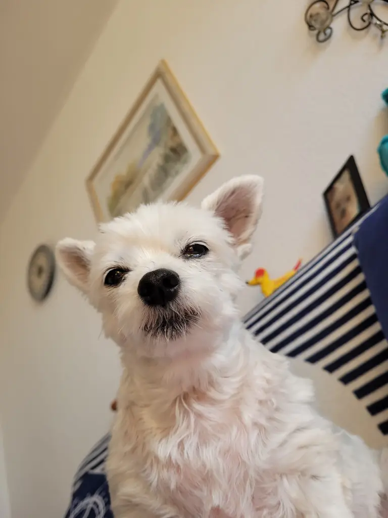 Ich habe dich auch lieb Mama!