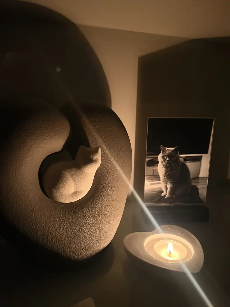 Image from Balou