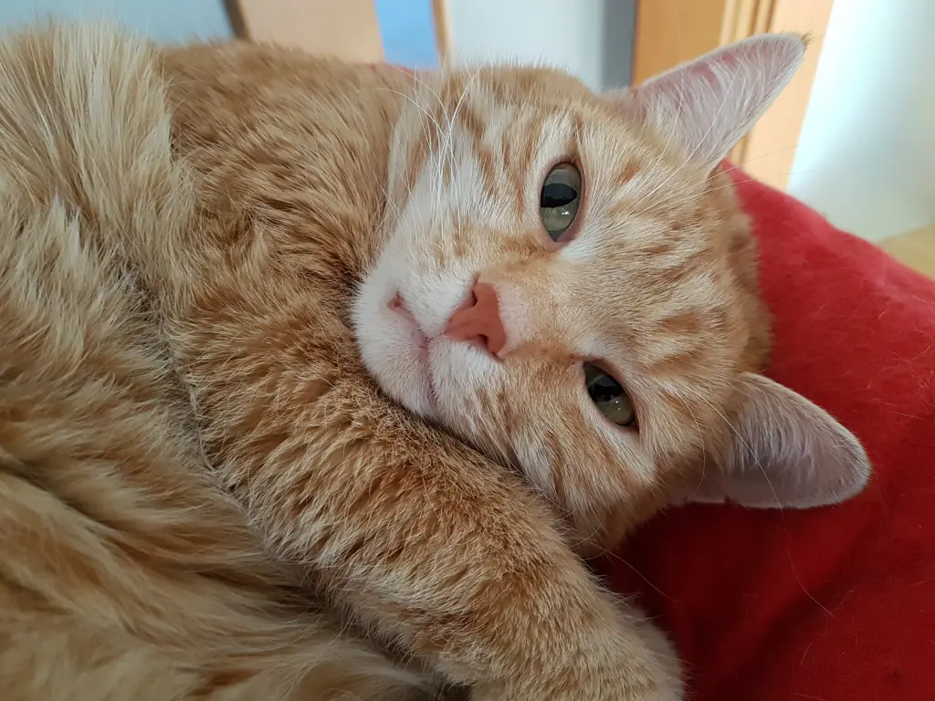 Bild von Mio