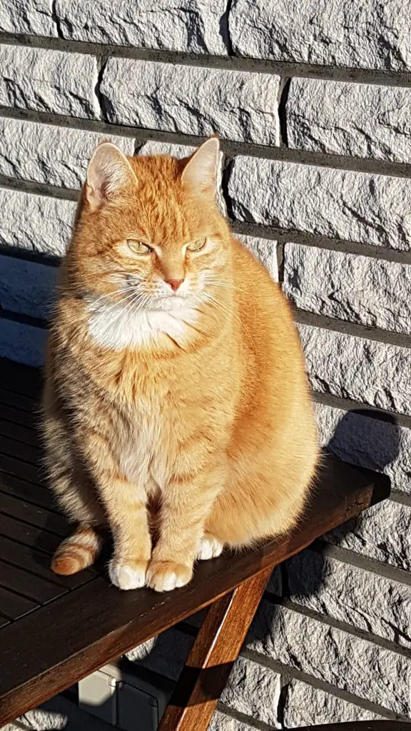 Mio der Herrscher