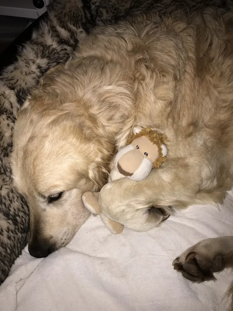 Image from Bailey