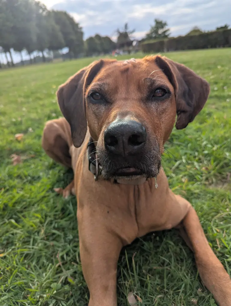 Meine wunderschöne Diva 💛