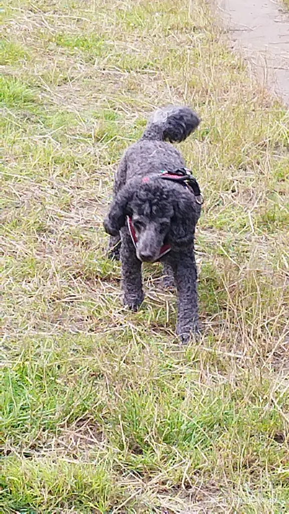 Image from Kitty