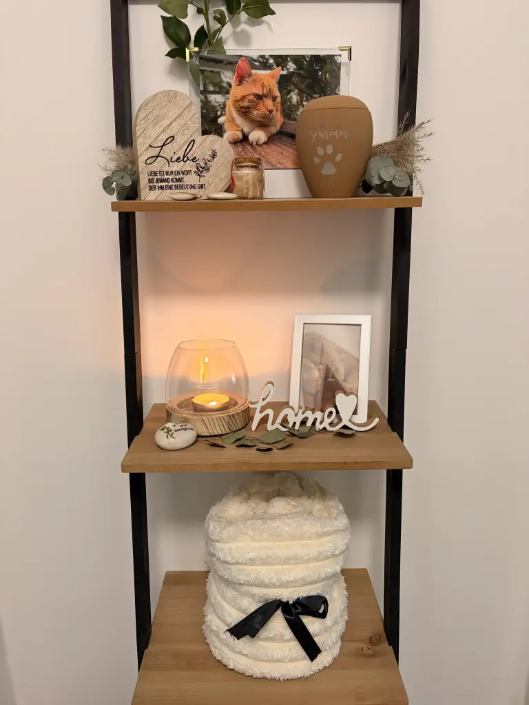 Condolence image of Nadii ♡ mit Schrödi im 🤍🐾