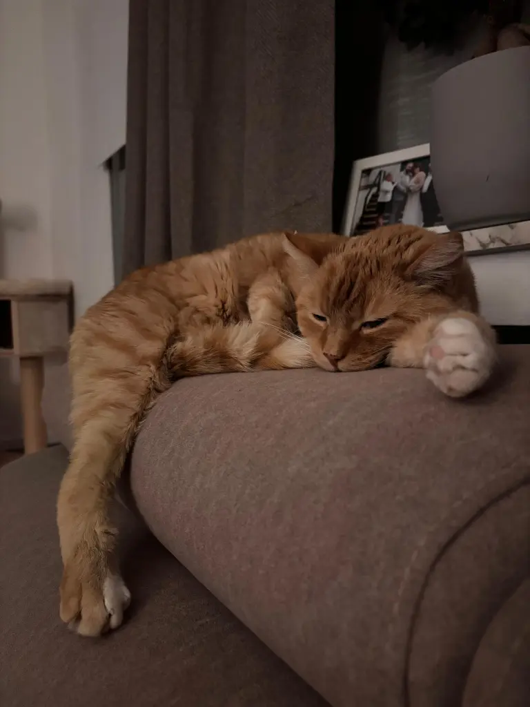 Image from ♡ Schröder ♡
