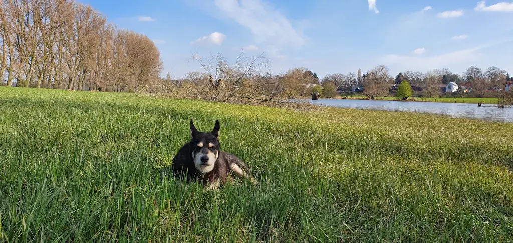 Bild von Athos
