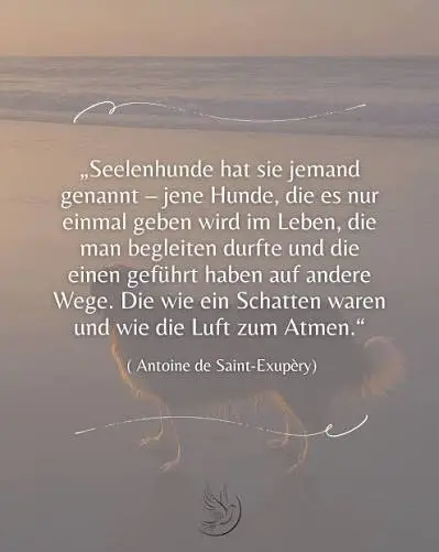 Condolence image of Oma Gudrun